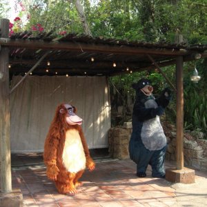 WDW Reise 1 15 Mai 2007