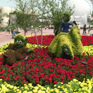WDW Reise 1 15 Mai 2007