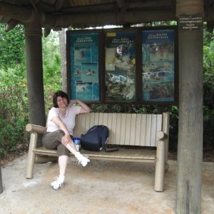 WDW Reise 1 15 Mai 2007