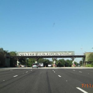 CIMG7260