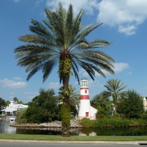 P1010283