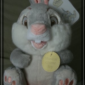 comp IMG 1080