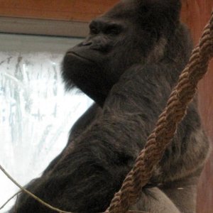 IMG 0057
