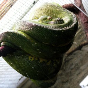 IMG 0084