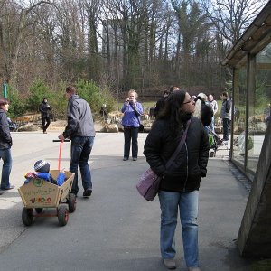 k IMG 9044