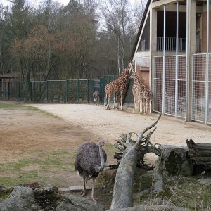 k IMG 9048