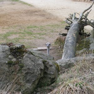 k IMG 9049