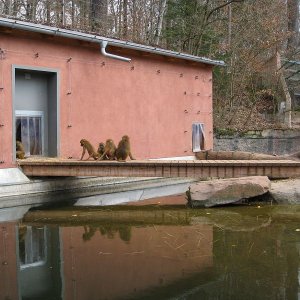 k IMG 9055