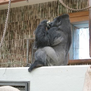 k IMG 9060