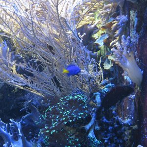 k IMG 9061