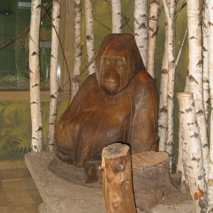 k IMG 9062