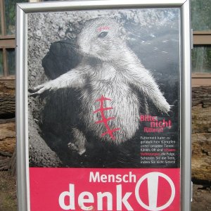 k IMG 9080