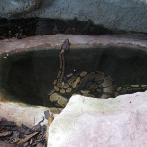 k IMG 9081