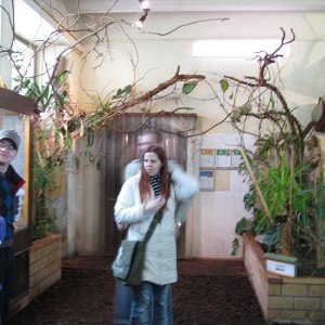 k IMG 9085