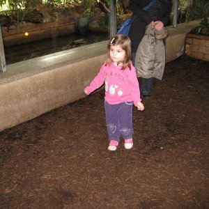 k IMG 9089