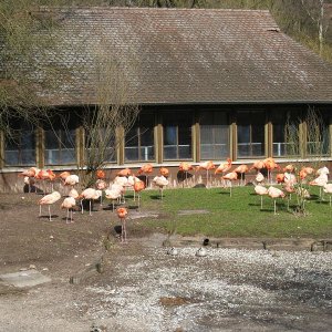 k IMG 9095