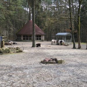 k IMG 9105