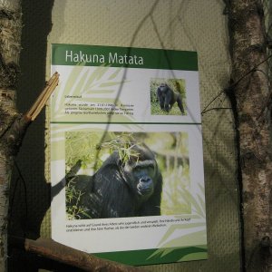 k IMG 9068