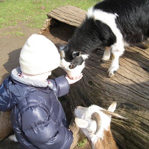 k IMG 9131