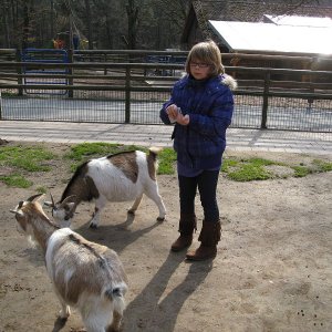 k IMG 9134