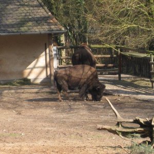 k IMG 9138