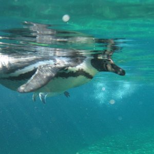 k IMG 9141