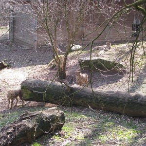 k IMG 9162