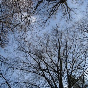 k IMG 9167