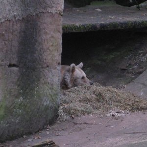 k IMG 9170