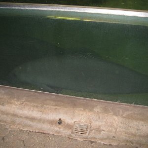 k IMG 9174