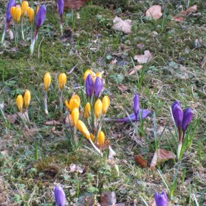 k IMG 9192