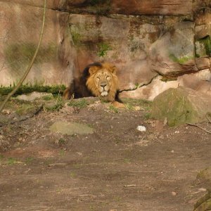 k IMG 9196