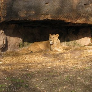k IMG 9201