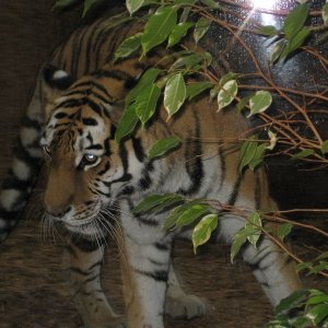 k IMG 9208