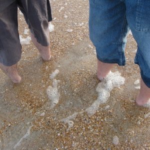 Muscheliger Sand