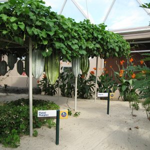 Living with the Land_1