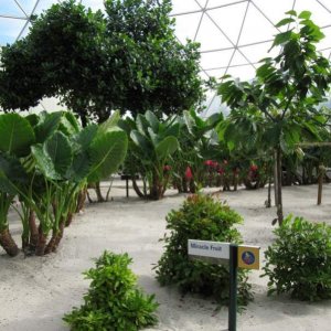 Living with the Land_2