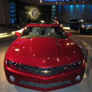 Test Track_7