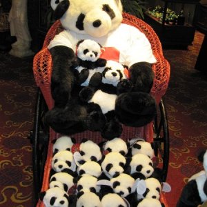 China_7
