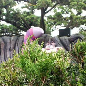k DSC04013