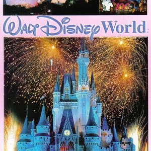 Postkarte von Nala aus WDW, Vorderseite