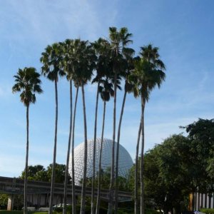 Epcot