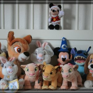 comp IMG 1854