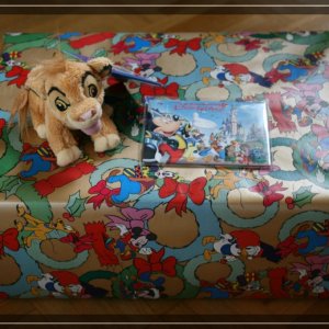 comp IMG 5326