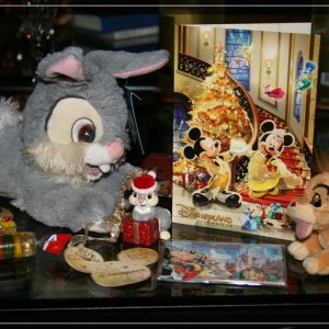 comp IMG 5342