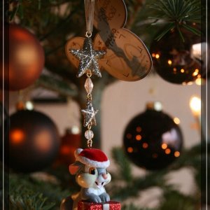 comp IMG 5348