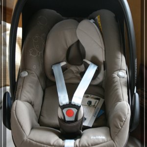 comp IMG 5418