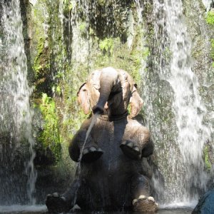 comp IMG 0343