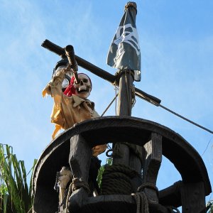comp IMG 0348