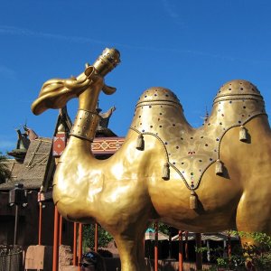 comp IMG 0353